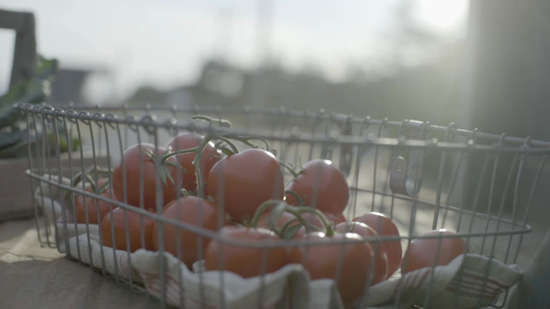 Just a tomato